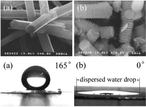 A Review of Distribution and Segregation Mechanisms of Dockage and Foreign Materials in On-Farm Grain Silos for Central Spout Loading