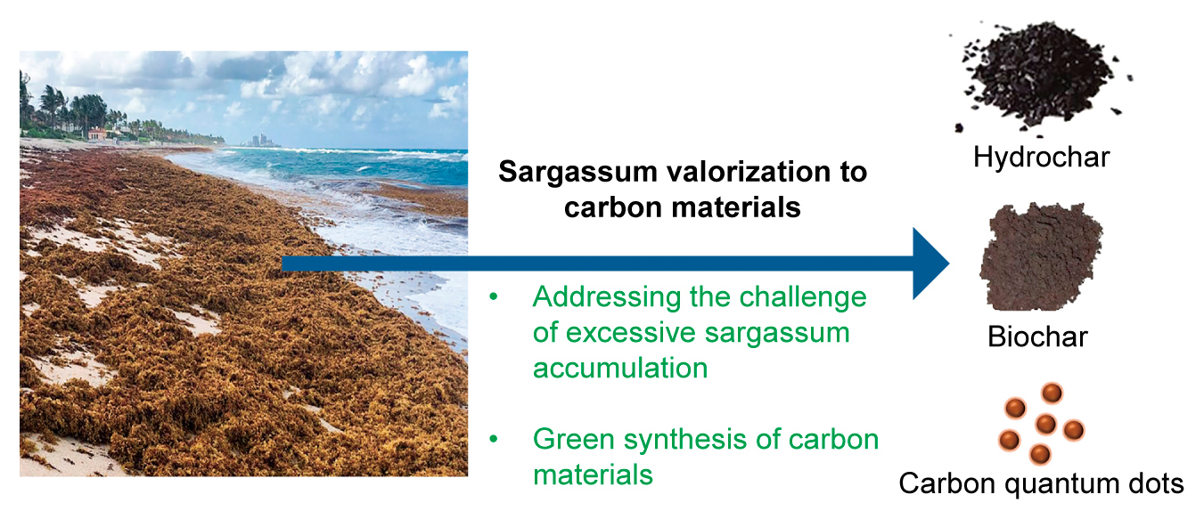 Formulation of Bacteriophage for Inhalation to Treat Multidrug-Resistant Pulmonary Infections